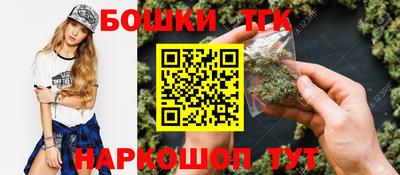 крисы Лесосибирск