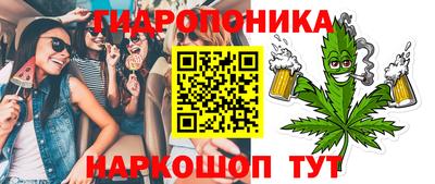 крисы Лесосибирск