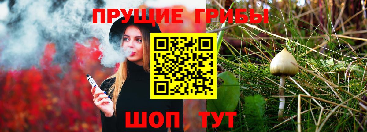 продажа наркотиков  Галлюциногенные грибы Cubensis  Вход с VPN  Волгодонск 
